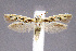  ( - CNCLEP00011026)  @14 [ ] CreativeCommons - Attribution Non-Commercial Share-Alike (2007) Unspecified Canadian National Collection