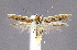  ( - CNCLEP00011027)  @14 [ ] CreativeCommons - Attribution Non-Commercial Share-Alike (2007) Unspecified Canadian National Collection