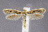  ( - CNCLEP00011028)  @14 [ ] CreativeCommons - Attribution Non-Commercial Share-Alike (2007) Unspecified Canadian National Collection
