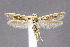  ( - CNCLEP00011031)  @12 [ ] CreativeCommons - Attribution Non-Commercial Share-Alike (2007) Unspecified Canadian National Collection