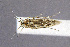  ( - CNCLEP00011051)  @12 [ ] CreativeCommons - Attribution Non-Commercial Share-Alike (2007) Unspecified Canadian National Collection