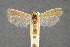  ( - CNCLEP00011061)  @14 [ ] CreativeCommons - Attribution Non-Commercial Share-Alike (2007) Unspecified Canadian National Collection