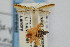  ( - CNCLEP00011311)  @11 [ ] CreativeCommons - Attribution Non-Commercial Share-Alike (2007) Unspecified Canadian National Collection