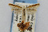  ( - CNCLEP00011313)  @11 [ ] CreativeCommons - Attribution Non-Commercial Share-Alike (2007) Unspecified Canadian National Collection