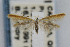  ( - CNCLEP00011314)  @15 [ ] CreativeCommons - Attribution Non-Commercial Share-Alike (2007) Unspecified Canadian National Collection