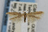  ( - CNCLEP00011321)  @14 [ ] CreativeCommons - Attribution Non-Commercial Share-Alike (2007) Unspecified Canadian National Collection