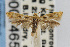  ( - CNCLEP00014652)  @15 [ ] CreativeCommons - Attribution Non-Commercial Share-Alike (2007) Unspecified Canadian National Collection