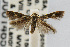  ( - CNCLEP00014655)  @13 [ ] CreativeCommons - Attribution Non-Commercial Share-Alike (2007) Unspecified Canadian National Collection