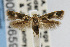  ( - CNCLEP00014659)  @13 [ ] CreativeCommons - Attribution Non-Commercial Share-Alike (2007) Unspecified Canadian National Collection