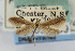  ( - CNCLEP00031739)  @15 [ ] CreativeCommons - Attribution Non-Commercial Share-Alike (2007) Unspecified Canadian National Collection