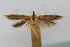 ( - CNCLEP00044305)  @11 [ ] CreativeCommons - Attribution Non-Commercial Share-Alike (2007) Unspecified Canadian National Collection