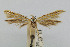  ( - CNCLEP00044307)  @11 [ ] CreativeCommons - Attribution Non-Commercial Share-Alike (2007) Unspecified Canadian National Collection