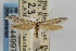  ( - CNCLEP00044997)  @11 [ ] CreativeCommons - Attribution Non-Commercial Share-Alike (2007) Unspecified Canadian National Collection