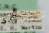  ( - CNCLEP00046509)  @13 [ ] CreativeCommons - Attribution Non-Commercial Share-Alike (2007) Unspecified Canadian National Collection