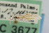  ( - CNCLEP00046512)  @11 [ ] CreativeCommons - Attribution Non-Commercial Share-Alike (2007) Unspecified Canadian National Collection