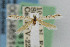  ( - CNCLEP00046514)  @11 [ ] CreativeCommons - Attribution Non-Commercial Share-Alike (2007) Unspecified Canadian National Collection