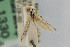  ( - CNCLEP00046516)  @11 [ ] CreativeCommons - Attribution Non-Commercial Share-Alike (2007) Unspecified Canadian National Collection
