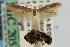  ( - CNCLEP00061035)  @13 [ ] CreativeCommons - Attribution Non-Commercial Share-Alike (2007) Unspecified Canadian National Collection