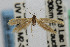  ( - CNCLEP00061041)  @13 [ ] CreativeCommons - Attribution Non-Commercial Share-Alike (2007) Unspecified Canadian National Collection