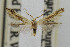  ( - CNCLEP00061059)  @13 [ ] CreativeCommons - Attribution Non-Commercial Share-Alike (2007) Unspecified Canadian National Collection