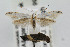 ( - CNCLEP00061114)  @14 [ ] CreativeCommons - Attribution Non-Commercial Share-Alike (2007) Unspecified Canadian National Collection