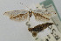  ( - CNCLEP00061116)  @11 [ ] CreativeCommons - Attribution Non-Commercial Share-Alike (2007) Unspecified Canadian National Collection
