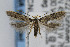  ( - CNCLEP00038458)  @14 [ ] CreativeCommons - Attribution Non-Commercial Share-Alike (2007) Unspecified Canadian National Collection