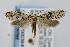 ( - CNCLEP00038490)  @14 [ ] CreativeCommons - Attribution Non-Commercial Share-Alike (2007) Unspecified Canadian National Collection