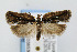  ( - CNCLEP00038536)  @14 [ ] CreativeCommons - Attribution Non-Commercial Share-Alike (2007) Unspecified Canadian National Collection