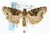  ( - CNCLEP00042300)  @14 [ ] CreativeCommons - Attribution Non-Commercial Share-Alike (2007) Unspecified Canadian National Collection