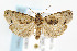  ( - CNCLEP00042301)  @14 [ ] CreativeCommons - Attribution Non-Commercial Share-Alike (2007) Unspecified Canadian National Collection