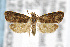  ( - CNCLEP00042309)  @13 [ ] CreativeCommons - Attribution Non-Commercial Share-Alike (2007) Unspecified Canadian National Collection