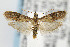  ( - CNCLEP00042335)  @14 [ ] CreativeCommons - Attribution Non-Commercial Share-Alike (2007) Unspecified Canadian National Collection