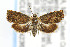  ( - CNCLEP00042368)  @14 [ ] CreativeCommons - Attribution Non-Commercial Share-Alike (2007) Unspecified Canadian National Collection