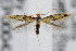  ( - CNCLEP00042426)  @13 [ ] CreativeCommons - Attribution Non-Commercial Share-Alike (2007) Unspecified Canadian National Collection