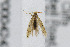  ( - CNCLEP00042435)  @12 [ ] CreativeCommons - Attribution Non-Commercial Share-Alike (2007) Unspecified Canadian National Collection