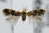  ( - CNCLEP00042453)  @13 [ ] CreativeCommons - Attribution Non-Commercial Share-Alike (2007) Unspecified Canadian National Collection