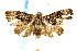  ( - CNCLEP00042510)  @13 [ ] CreativeCommons - Attribution Non-Commercial Share-Alike (2007) Unspecified Canadian National Collection