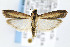  ( - CNCLEP00042511)  @14 [ ] CreativeCommons - Attribution Non-Commercial Share-Alike (2007) Unspecified Canadian National Collection