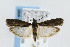  ( - CNCLEP00042558)  @13 [ ] CreativeCommons - Attribution Non-Commercial Share-Alike (2007) Unspecified Canadian National Collection