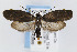  ( - CNCLEP00042698)  @14 [ ] CreativeCommons - Attribution Non-Commercial Share-Alike (2007) Unspecified Canadian National Collection