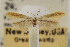  ( - CNCLEP00061171)  @11 [ ] CreativeCommons - Attribution Non-Commercial Share-Alike (2007) Unspecified Canadian National Collection