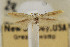  ( - CNCLEP00061172)  @11 [ ] CreativeCommons - Attribution Non-Commercial Share-Alike (2007) Unspecified Canadian National Collection
