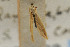  ( - CNCLEP00061193)  @11 [ ] CreativeCommons - Attribution Non-Commercial Share-Alike (2007) Unspecified Canadian National Collection