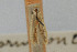  ( - CNCLEP00061194)  @11 [ ] CreativeCommons - Attribution Non-Commercial Share-Alike (2007) Unspecified Canadian National Collection