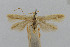  ( - CNCLEP00061196)  @11 [ ] CreativeCommons - Attribution Non-Commercial Share-Alike (2007) Unspecified Canadian National Collection