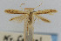  ( - CNCLEP00061197)  @11 [ ] CreativeCommons - Attribution Non-Commercial Share-Alike (2007) Unspecified Canadian National Collection