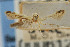  ( - CNCLEP00061269)  @11 [ ] CreativeCommons - Attribution Non-Commercial Share-Alike (2007) Unspecified Canadian National Collection