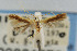  ( - CNCLEP00061272)  @11 [ ] CreativeCommons - Attribution Non-Commercial Share-Alike (2007) Unspecified Canadian National Collection