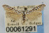  ( - CNCLEP00061291)  @13 [ ] CreativeCommons - Attribution Non-Commercial Share-Alike (2007) Unspecified Canadian National Collection